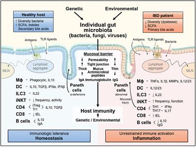 Strategies to Dissect Host-Microbial Immune Interactions That Determine Mucosal Homeostasis vs. Intestinal Inflammation in Gnotobiotic Mice